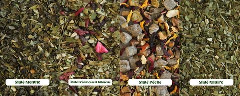 composition des matés tea shop