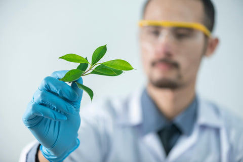 Pourquoi certains de nos thés & infusions ne sont pas bio ?