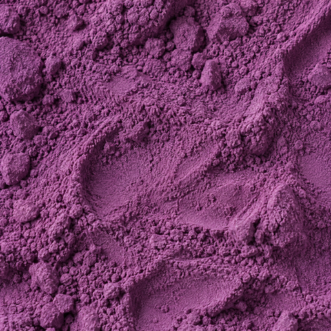 Ube Latte