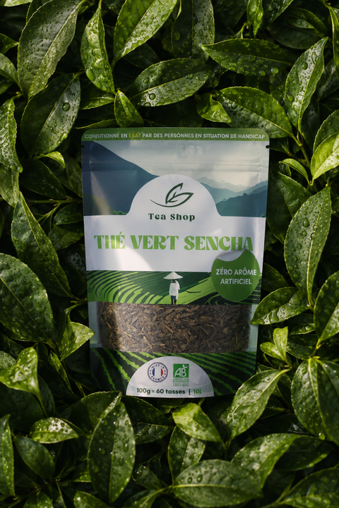 Thé Vert Sencha BIO