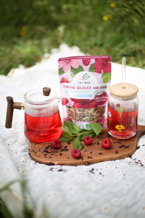 Tisane Glacée du Sud BIO