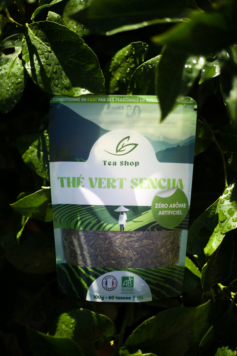 Thé Vert Sencha BIO