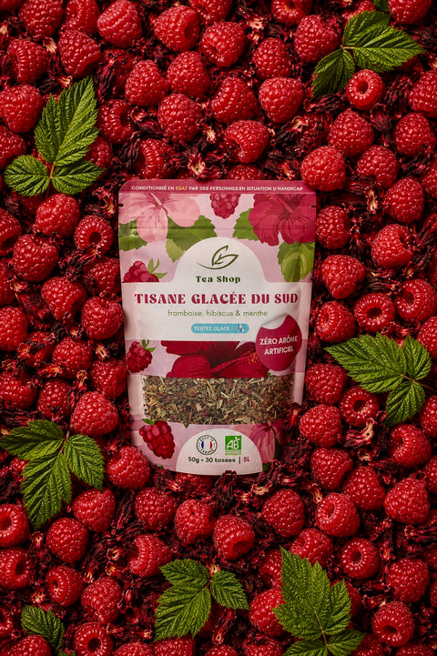 Tisane Glacée du Sud BIO