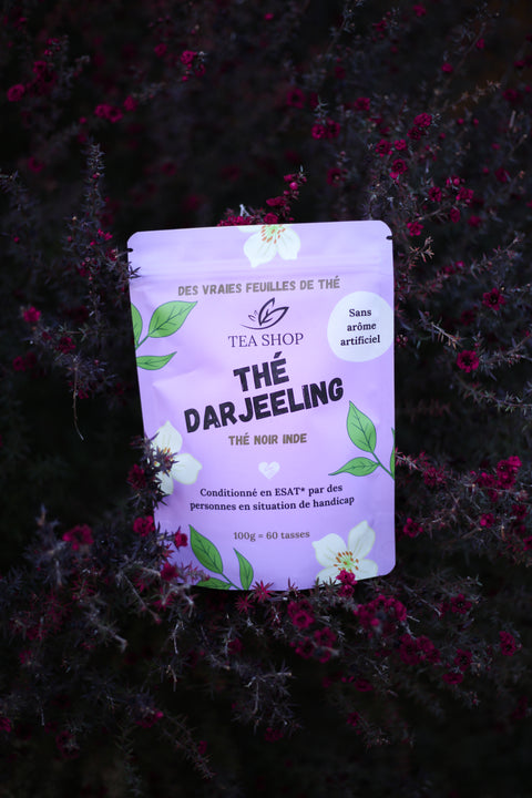 the darjeeling tea shop